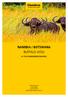 NAMIBIA / BOTSWANA BUFFALO 4YOU