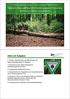Hessische Naturwaldreservate: Referenzgebiete für Naturnähe