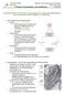 Vorlesung 3/4: Photosynthese die Lichtreaktionen