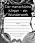 Der menschliche Körper ein Wunderwerk