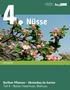 Berliner Pflanzen Obstanbau im Garten Teil 4 Nüsse: Haselnuss, Walnuss