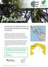 Fallstudie. Investment von Waldmenschen eg: Nachhaltige Waldbewirtschaftung in Panama. Santa Rita Farm. Palmas Bellas Farm