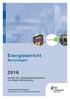 Energiebericht. Berichtsjahr. gemäß dem Standardenergiebericht von Baden-Württemberg. Landratsamt Karlsruhe Dezernat II - Amt für Gebäudemanagement