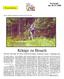 Pressestimmen. Quelle: Thüringer Allgemeine am Freitag, den 04.Juli 2008