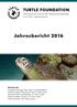 Jahresbericht 2016 TURTLE FOUNDATION. Stiftung zum Schutz der Meeresschildkröten und ihrer Lebensräume