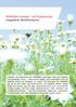 WAREMA Insekten- und Pollenschutz Ungestörte Wohlfühlräume