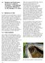 12 Beispiele des Fledermausschutzes. Wunsiedel i. Fichtelgebirge und geplante Maßnahmen für die nächsten 5-10 Jahre Maßnahmen im Wald