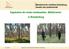 Ergebnisse der ersten landesweiten Waldinventur in Brandenburg