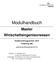 Modulhandbuch. Master Wirtschaftsingenieurwesen. Studienordnungsversion: 2010 Vertiefung: MB. gültig für das Wintersemester 2017/18