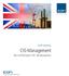 ICON Solutions. CIS-Management. Bau und Montage in UK / Bauabzugsteuer. ICON Wirtschaftstreuhand GmbH