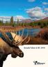 Jagd in Yukon & BC. Die Jagd