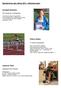 Sportlerinnen des Jahres 2014 Nominierungen. Annabell Schwahn. Chiara James. Johanna Theis. TSV Fleisbach /Leichtathletik. TV Aßlar/Leichtathletik