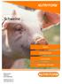 Schweine NUTRI FORM FERKEL FUTTERHYGIENE VERDAUUNG REINIGUNG / HYGIENE. Nutri Form SA Mülacher Hildisrieden