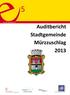 Auditbericht Stadtgemeinde Mürzzuschlag 2013