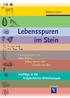 Lebensspuren im Stein. Herausgegeben von Peter Rothe, Volker Storch und Claudia von See