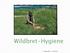 Wildbret-Hygiene. Dr. Edgar Lehner