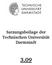 Satzungsbeilage der Technischen Universität Darmstadt 3.09