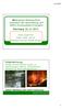 Starnberg Erderwärmung: Wetterextreme nehmen massiv zu. Überflutungen, Stürme, Trockenheiten, Waldbrände, Meeresspiegelanstieg