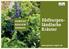 Die Kräuterfrauen Südburgenländischer Kräuter-Genuss