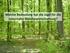 Welche Bedeutung hat die Jagd für die naturnahe Waldbewirtschaftung? Christian Ammer