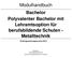 Modulhandbuch Bachelor Polyvalenter Bachelor mit Lehramtsoption für berufsbildende Schulen - Metalltechnik