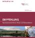 2. November 2009 abschließende Entwurfsfassung EMPFEHLUNG. Gewässerschutz Werra / Weser und Kaliproduktion