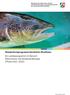 Wanderfischprogramm Nordrhein-Westfalen Ein Landesprogramm im Bereich Naturschutz und Gewässerökologie (Phase )