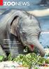 ZOONEWS. OMYSHA Ein Elefäntchen startet sein Leben im neuen Elefantenpark HERBST DOPPELPACK Zwillinge bei den Schneeleoparden