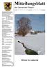 Mitteilungsblatt. der Gemeinde Pilsach. Winter im Labertal. Mitteilungsblatt der Gemeinde Pilsach - Januar Januar 2016