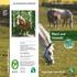Pferd und.   Abteilung Umwelt und Pferdehaltung. Impressum: