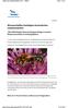 Wissenschaftler bestätigen dramatisches Insektensterben