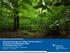 Ökosystemleistungen der Wälder- The Economics of Ecosystems and Biodiversity,TEEB Dr. Christoph Aicher, UFZ