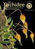 Die. Orchidee. Volume 3(20) Journal der Deutschen Orchideen-Gesellschaft zur Förderung der Orchideenkunde. ISSN-Internet