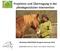 Projektion und Übertragung in der pferdegestützten Intervention