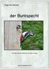 Vogel des Monats. der Buntspecht. mit Fotos und Informationen von Beni Herzog.