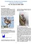 Ornithologischer Rundbrief für Nordbaden und angrenzende Gebiete Nr. 78: Januar bis März 2018