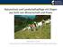 Naturschutz und Landschaftspflege mit Ziegen aus Sicht von Wissenschaft und Praxis