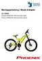 Montageanleitung l Mode d emploi. Art Phoenix MTB24V01 Mountain Bike (gelb) Phoenix MTB24V01 Mountain Bike (jaune)
