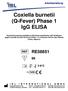 Coxiella burnetii (Q-Fever) Phase 1 IgG ELISA
