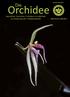 Volume 3(10) Orchidee. Die. Journal der Deutschen Orchideen-Gesellschaft zur Förderung der Orchideenkunde ISSN-Internet