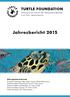 TURTLE FOUNDATION. Jahresbericht 2015