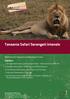 Tansania Safari Serengeti intensiv