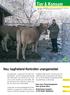 Zeitschrift von kagfreiland, der schweizerischen Nutztierschutz-Organisation. März 2006 Nr. 1  PC