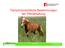 Tierschutzrechtliche Bestimmungen der Pferdehaltung. Pferdehaltung