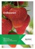 Erdbeeren. Bestäubung Pflanzenstärkung Biologischer Pflanzenschutz.