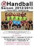 Handball. Saison 2012/ Herren AMTV - Hamburg-Liga