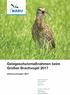 Meyer & Jeromin (2017): Gelegeschutzmaßnahmen beim Großen Brachvogel Bericht 2017