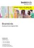 Brainbirds Academy für die digitale Welt