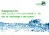 Engagement der LWG Lausitzer Wasser GmbH & Co. KG bei der Nachsorge in der Lausitz