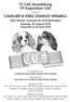 17. CAC-Ausstellung 17 e Exposition CAC CAVALIER & KING CHARLES SPANIELS